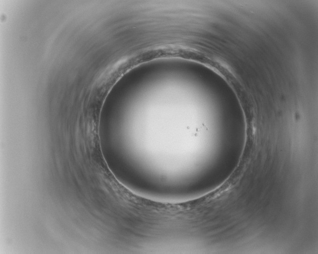 X0000055521111200508262158