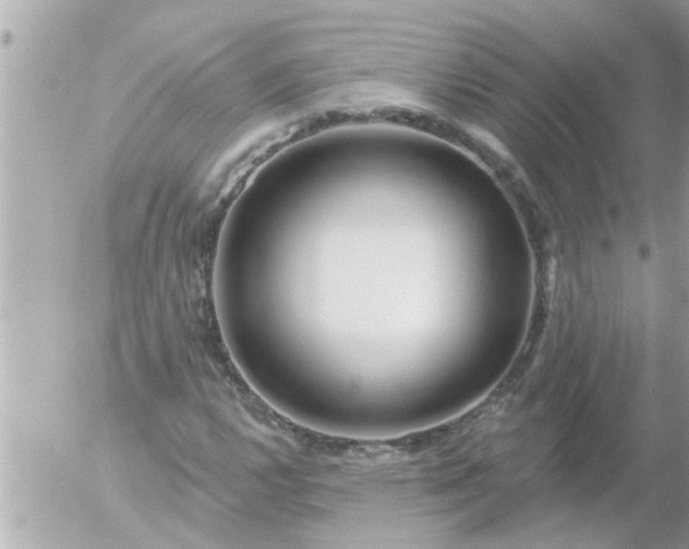 X0000055521112200508262158