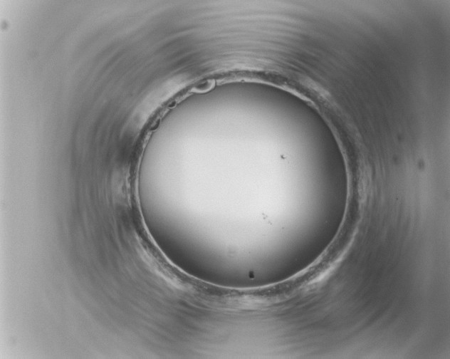 X0000055521113200508262158