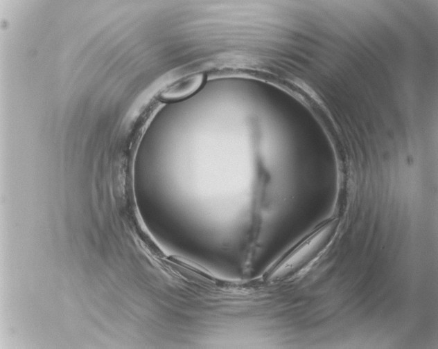 X0000055521115200508262158