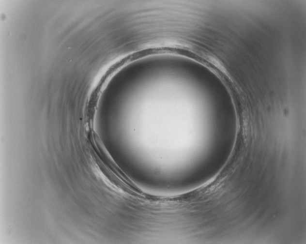 X0000055521116200508262158