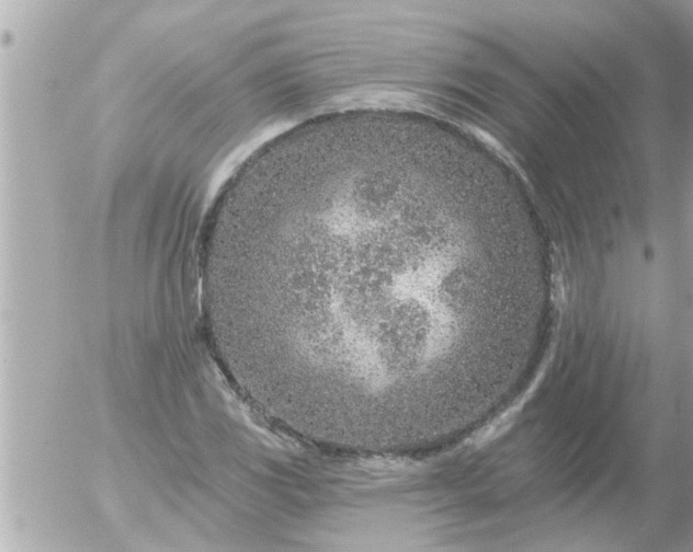 X0000055521117200508262158