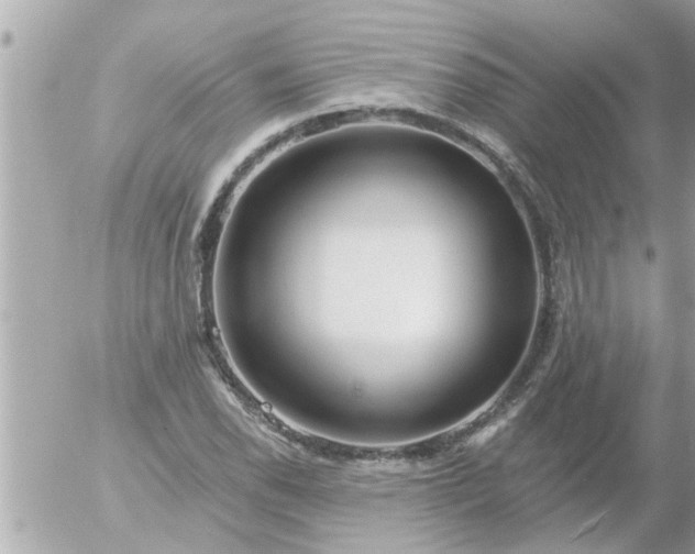 X0000055521118200508262158