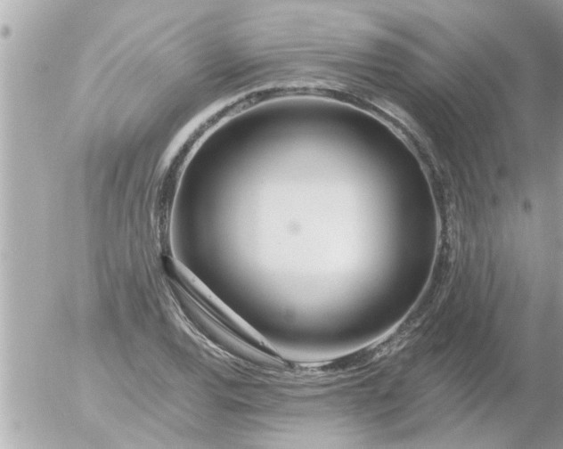 X0000055521120200508262158