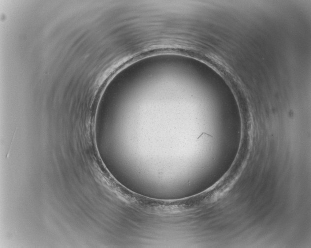 X0000055521121200508262159