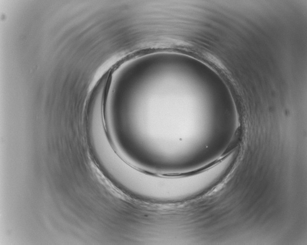 X0000055521122200508262159