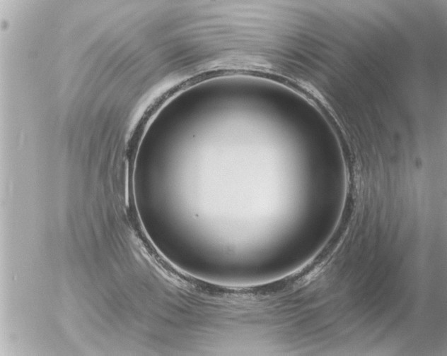 X0000055521123200508262159