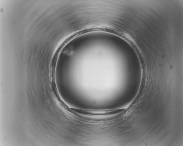 X0000055521124200508262159