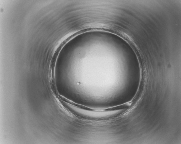 X0000055521125200508262159