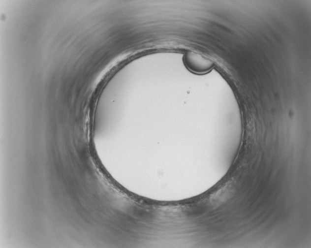 X0000055521126200508262159