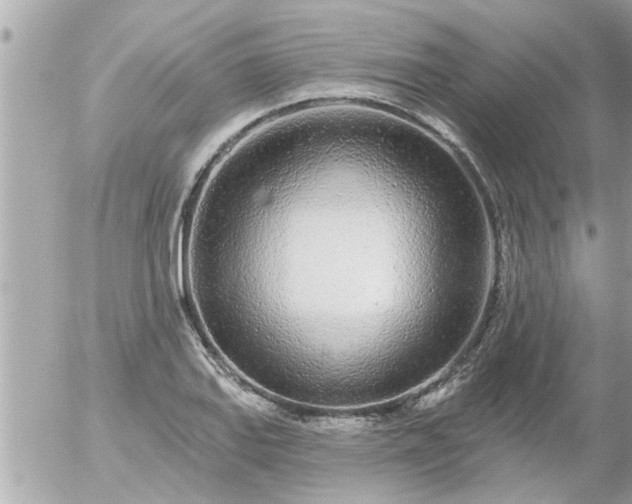 X0000055521127200508262159