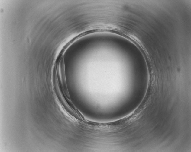 X0000055521128200508262159