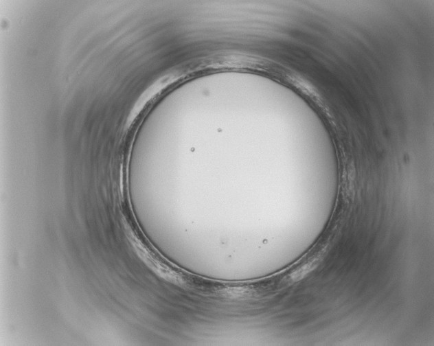 X0000055521130200508262159