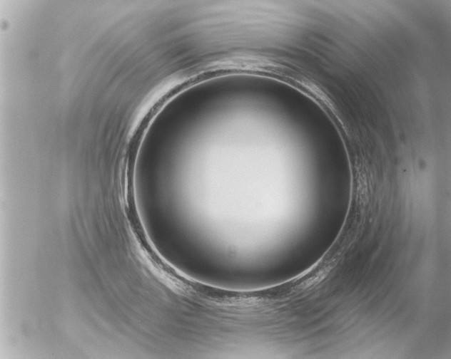 X0000055521131200508262159