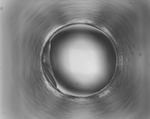 X0000055521132200508262159