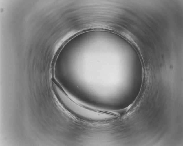 X0000055521133200508262159