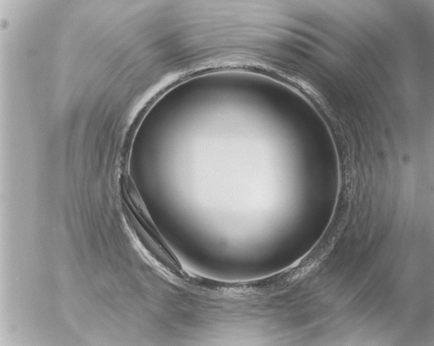 X0000055521134200508262159