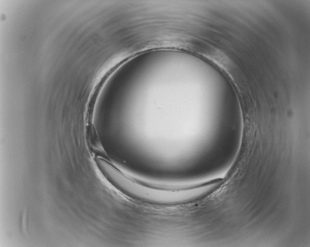 X0000055521135200508262159