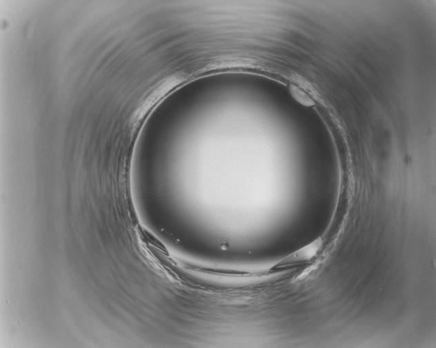 X0000055521137200508262159