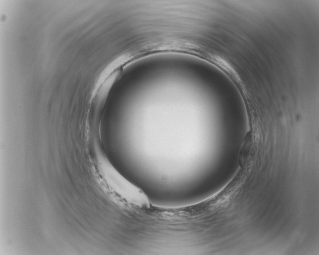 X0000055521138200508262159