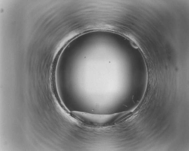 X0000055521139200508262159