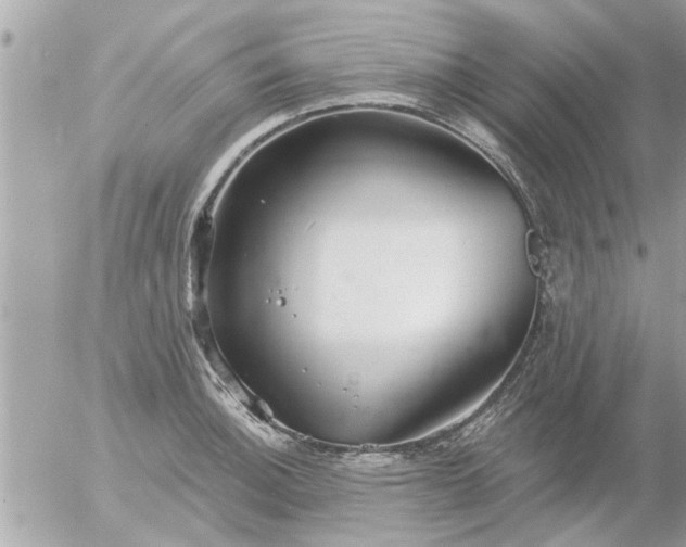 X0000055521140200508262159