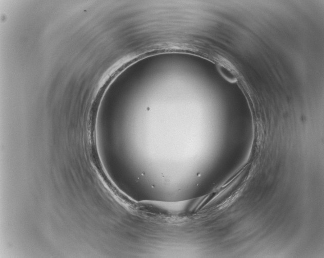 X0000055521141200508262159