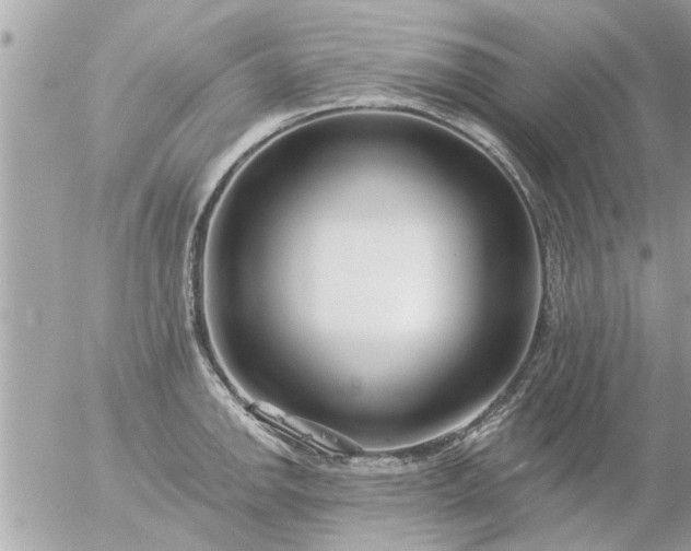 X0000055521142200508262159