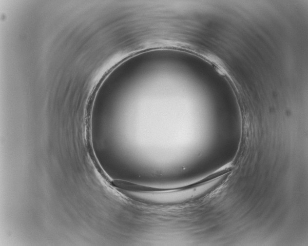 X0000055521143200508262159