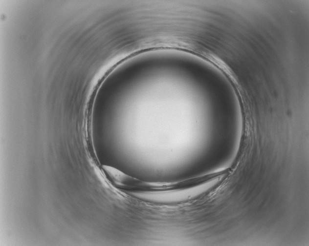 X0000055521144200508262159