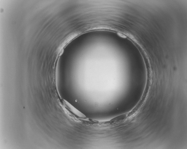 X0000055521145200508262159