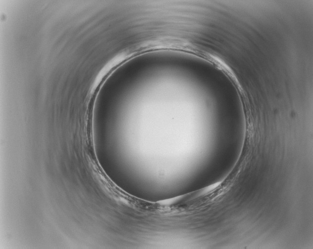 X0000055521146200508262159