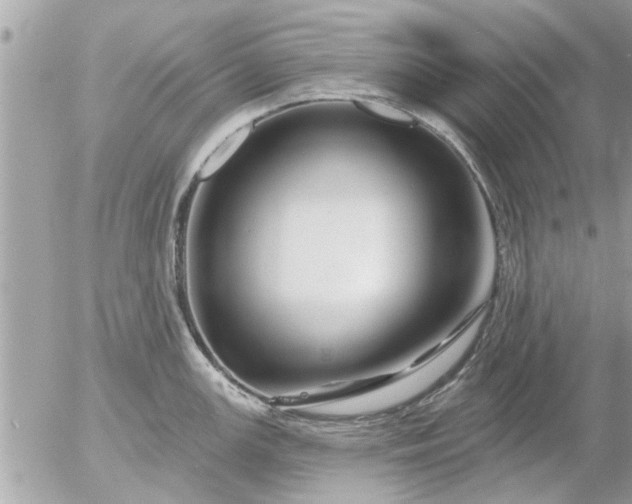 X0000055521147200508262159