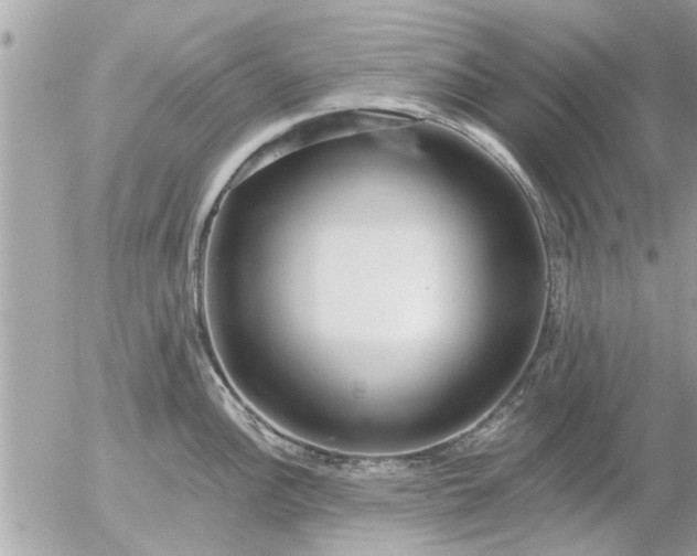 X0000055521148200508262159