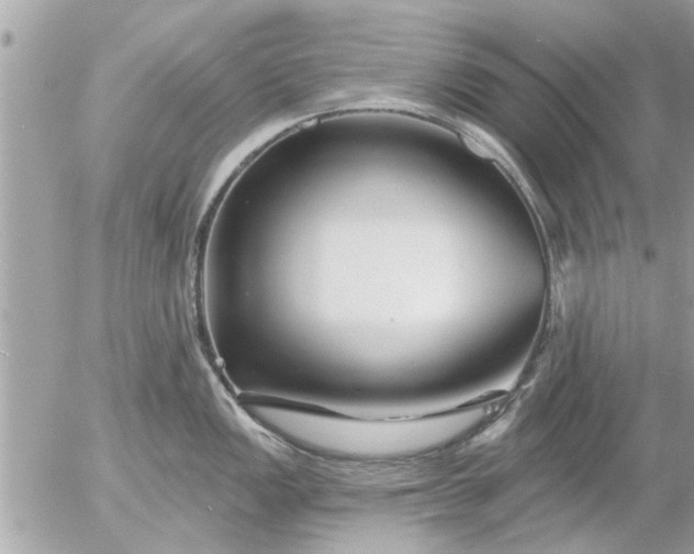 X0000055521149200508262159