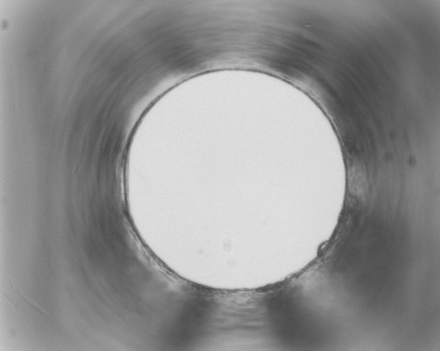 X0000055521150200508262159