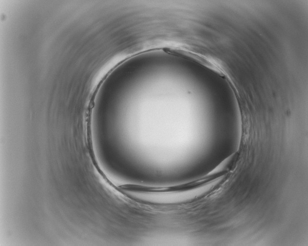 X0000055521151200508262159