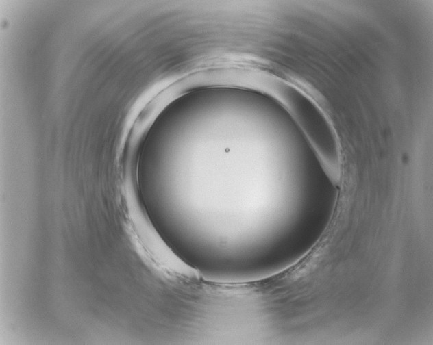 X0000055521152200508262159