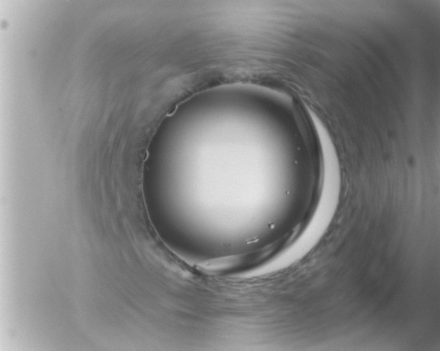 X0000055521153200508262158