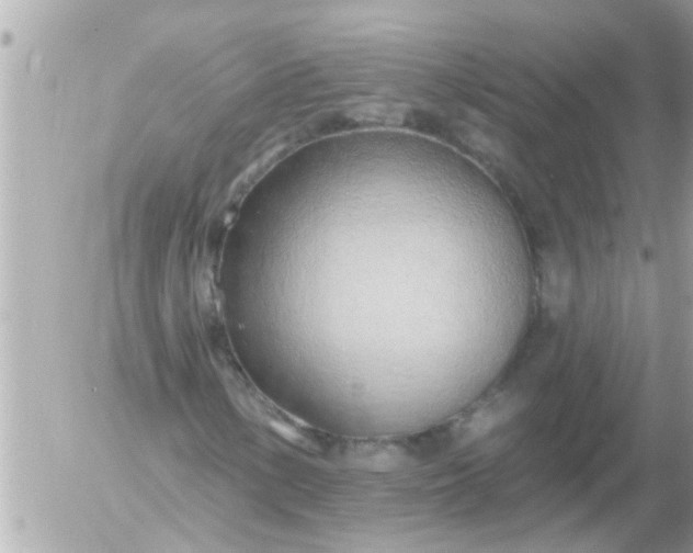 X0000055521154200508262158