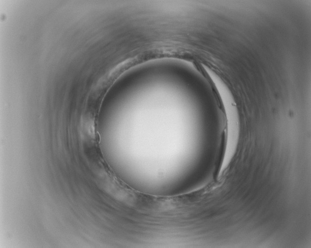 X0000055521155200508262158