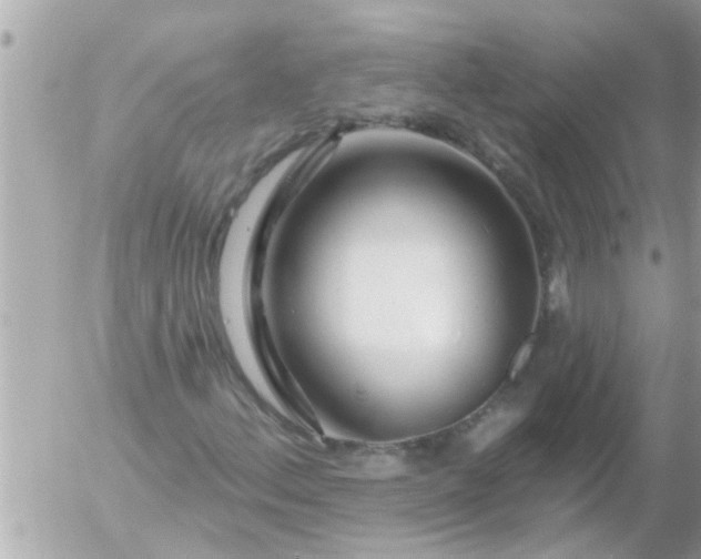 X0000055521156200508262158