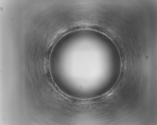 X0000055521157200508262158