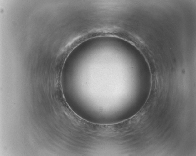 X0000055521158200508262158