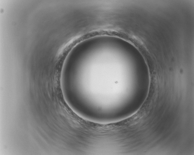 X0000055521159200508262158