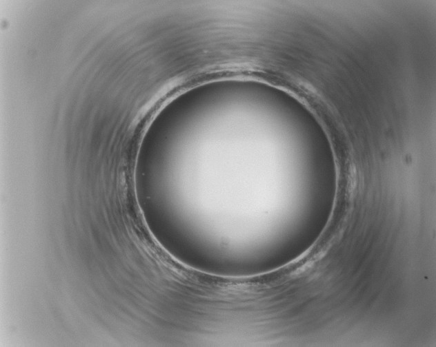 X0000055521162200508262158