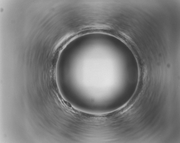 X0000055521163200508262158