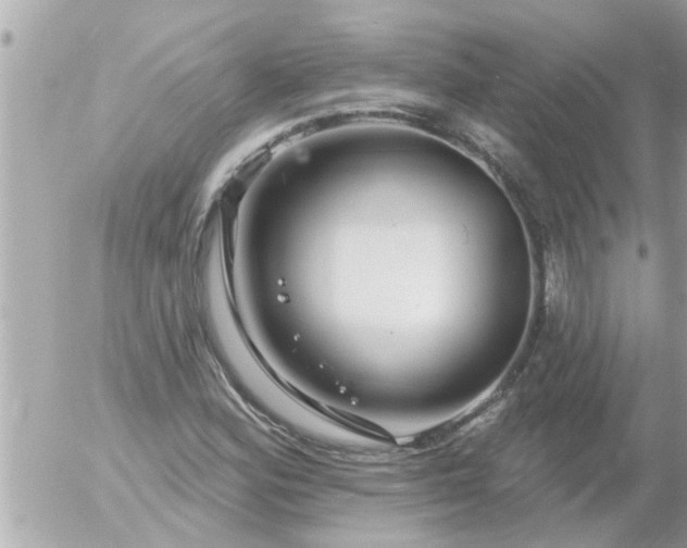 X0000055521164200508262158