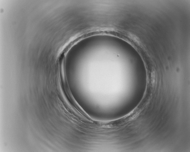 X0000055521165200508262158