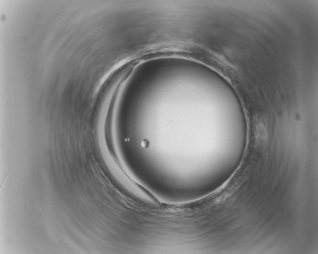 X0000055521166200508262158